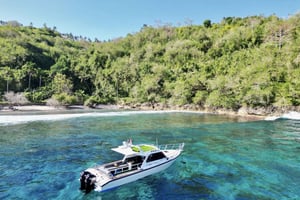 С Бали: Частный тур по Нуса Пениде с обедом и снорклингом