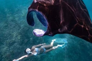 Nusa Penida Tour & Private Afternoon Snorkeling (Skip Crowd)