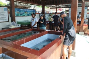 Sanur Village E-Bike Tour: Familienfreundliches Abenteuer