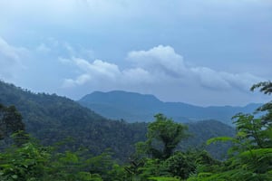 Vandretur i Sidemen: vandretur op ad Dwangga Hill i Sidemen (800 moh)