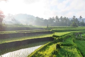 Excursión a las terrazas de arroz de Sidemen y paseo por el pueblo local.