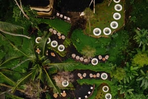 シデメンツアー（コリコリデイクラブ訪問オプション付き）