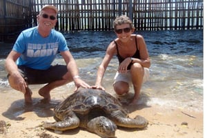 Sur de Bali: visita la isla de las tortugas en un barco con fondo de cristal