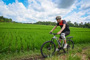 Sur de Ubud: Tour en bicicleta eléctrica - Corazón de los arrozales - Medio día (Privado)