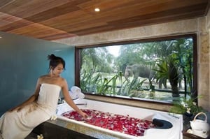 Spa at Elephant Safari Lodge