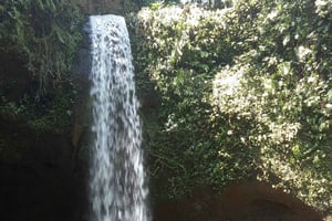 Visitez l'île de Bali avec des guides experts en anglais.