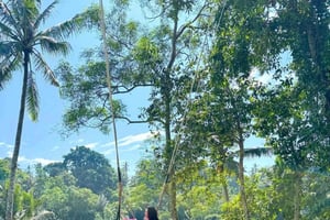 Ubud Bali: Sacred Monkey Forest, Waterfall & Swing Day Tour