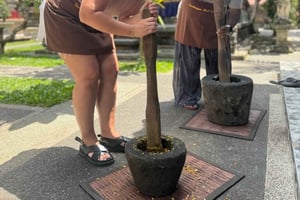 Ubud: Balinese Cooking Class and Market Tour