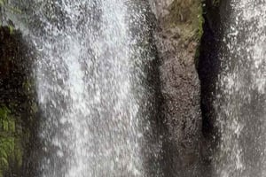 Ubud: Balinesisk renselsesritual ved Griya Beji-vandfaldet