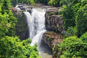 Ubud: Barong-dans, apekatteskog og fossefallstur