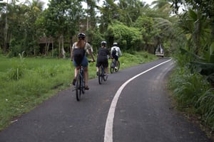 Ubud: E-Bike Tour mit Reisterrasse und Dorfbesuch