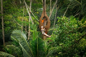 Ubud: Halvdagseventyr med zipline og junglesving