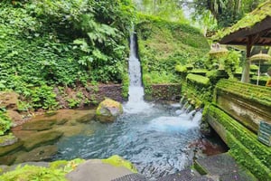 Expérience de voyage de guérison à Ubud - Tout inclus