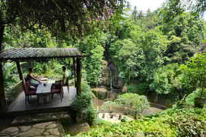 Ubud: Hidden Waterfalls, Rice terrace & Cliffside Dining