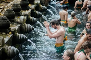 Ubud: Abeskov, Ceking risterrasser og meget mere - hele dagen