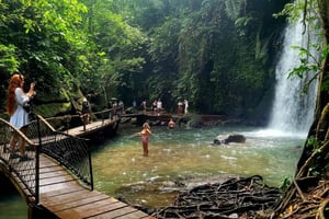 Ubud: Private Halbtagestour mit Reisterrasse und Wasserfall