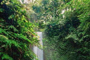 Ubud : visite privée des cascades et des rizières en terrasses
