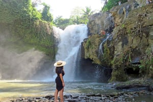 Ubud: terraço de arroz, cascata e gruta do elefante