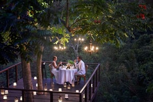 Ubud: Cena romántica en la terraza de un árbol del bosque