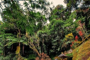 Ubud: Telaga Waja Temple, Waterfalls- Mancingan Rice Terrace
