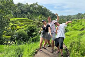Ubud: Tirta Empul, Rice Terrace, Waterfall and Custom Tour