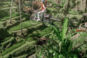 Ubud: UTV Buggy Adventure, Ubud Sky Bike, & Coffe Farm Tour