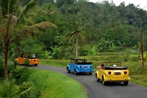 Ubud VW Safari Bali Tour