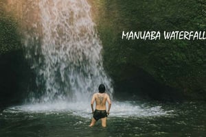 ウブド：滝と棚田を訪れるガイド付き日帰りツアー