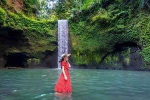 Tour delle cascate di Ubud, del tempio di Tirta Empul e delle terrazze di riso