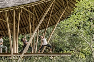 Ubud: Retiro de bem-estar com massagem, aula de ioga e almoço