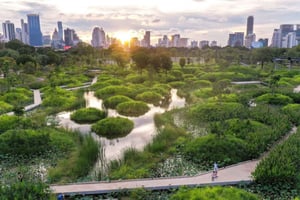Bangkok Cykeludlejning Benjakitti Park