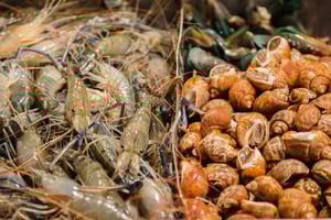 Tour gastronomico notturno di Chinatown a Bangkok