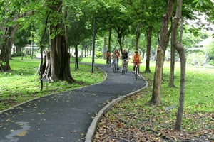 Bangkok halvdagstur Stadskultur halvdagsutflykt på cykel