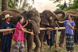 Bangkok: Ethical Elephant Guided Tour with Hotel Transfers
