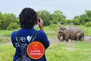 Banguecoque: visita guiada ao santuário de elefantes com transporte do hotel