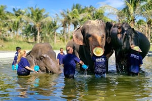 Bangkok: Santuário de Elefantes e Zoológico Aberto Khao Kheow (Moodeng)