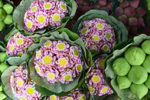 Bangkok: passeio pelos campos de lótus, fazenda de orquídeas e mercado de flores