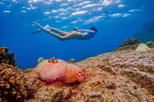Bangkok: Escursione sull'isola di Nemo con foto dal drone e pranzo