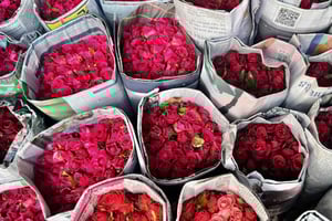 De oude stad van Bangkok: verborgen parels met Michelin-gidslunch