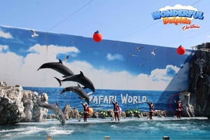 Bangkok: Privat familjeutflykt till safari och middagskryssning på floden