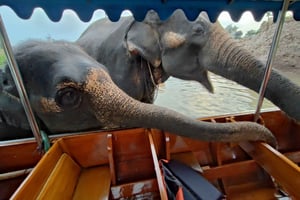 Бангкок: частная поездка в храмы Аюттайи и на ночной рынок