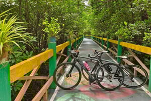 Бангкок: велосипедный тур с видом на море через мангровый туннель