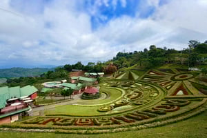 Chiang Rai: alla scoperta delle montagne di Doi Mae Salong e Doi Tung