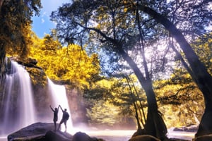 From Bangkok: Khao Yai Private Charter with Multiple Options