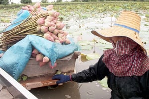 Från Bangkok: Mahasawat kanal och gård med lunch