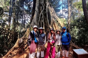 Khao Yai Jungle Walk & Haew Suwat Falls with Thai Set Lunch