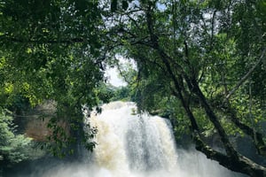 Khao Yai: Private Custom Tour with Driver From Bangkok