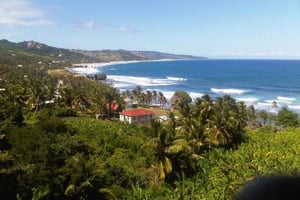 Barbados: tour de 5,5 horas por la isla, plantación, almuerzo y bebidas