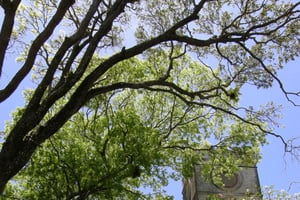 Barbados Bajan Paradise Full-Day Excursion