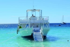 Barbados: Carlisle Bay Beach Day and Turtle Swim Experience